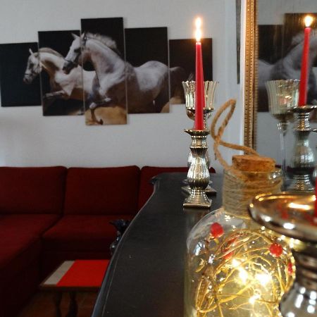 Studio Sequoia Au Pied Du Chateau Saumur Εξωτερικό φωτογραφία